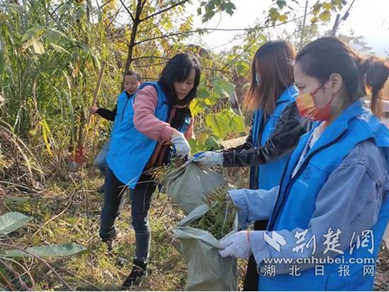鏟除一枝黃花簡報2.jpg