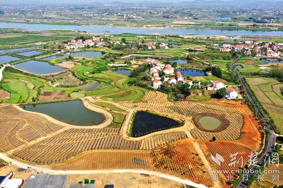 盂缽橋農(nóng)業(yè)基地_副本.jpg
