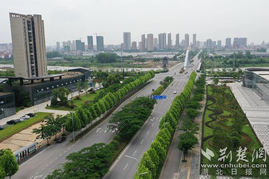 DJI_0524_副本.jpg