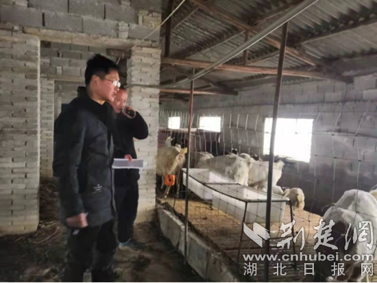 市水利與湖泊局駐陳貴鎮(zhèn)江添受村工作隊在脫貧戶方周海山羊養(yǎng)殖點(diǎn).jpg