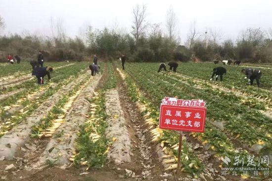 微信圖片_20220216193631_副本.jpg