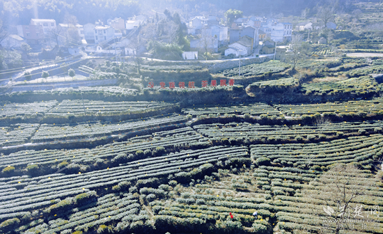 圖片7_副本.png.png