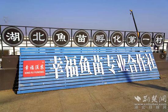 6、湖北魚苗第一村_副本.jpg