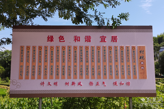 圖片4_副本.png.png