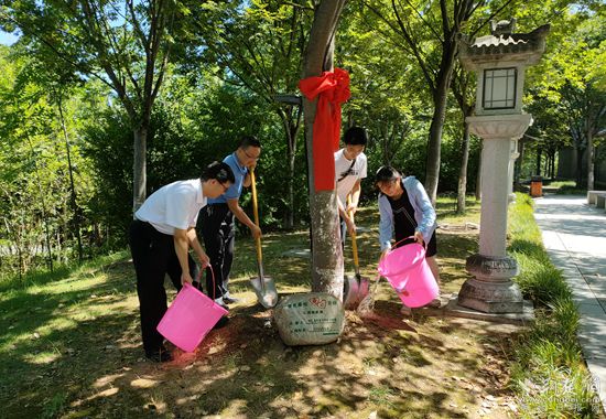 葉家樂(lè)一家給櫸樹(shù)松土、澆水_副本.jpg
