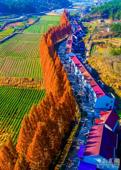 DJI_0042_副本.jpg