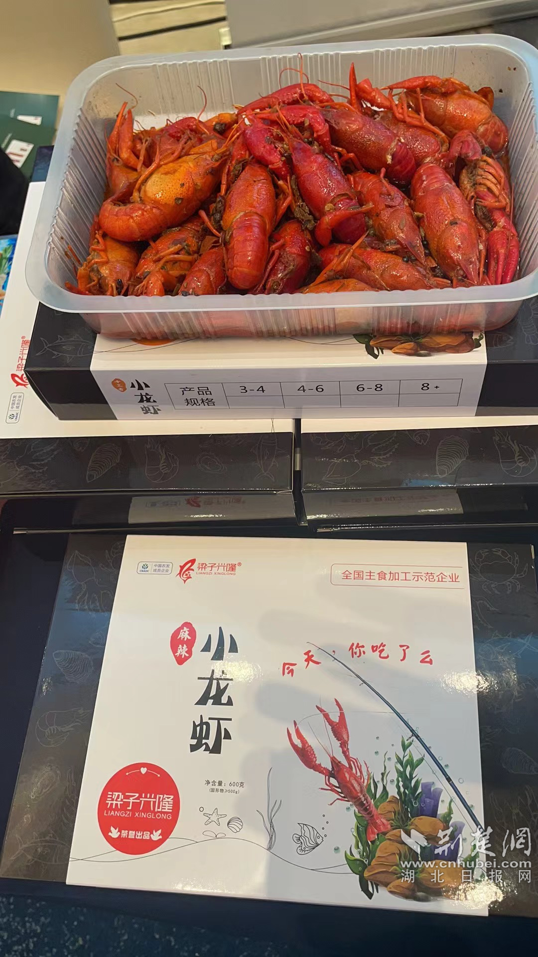 圖片 6.png.png
