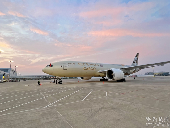 飛機(jī)停靠完畢。金康 攝.jpeg