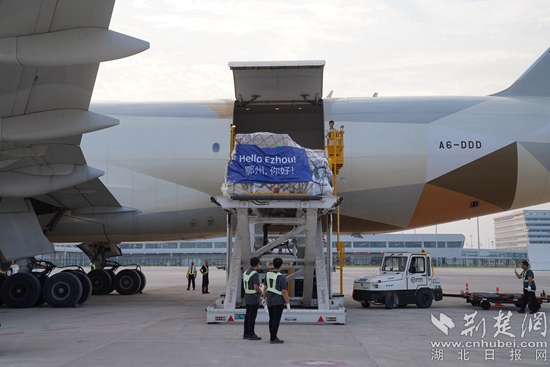 機(jī)務(wù)人員卸下貨物。金康 攝.jpeg