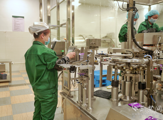 興龍生態(tài)觀光工廠。通訊員 劉承群 供圖_副本.png.png