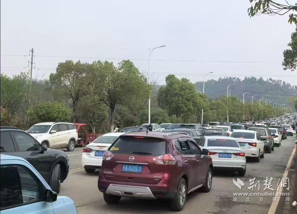 微信圖片_20250331143611.jpg.jpg