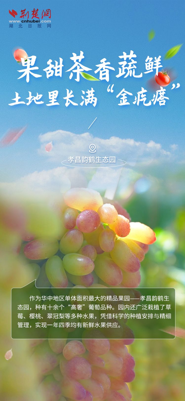 海報3.jpg.jpg