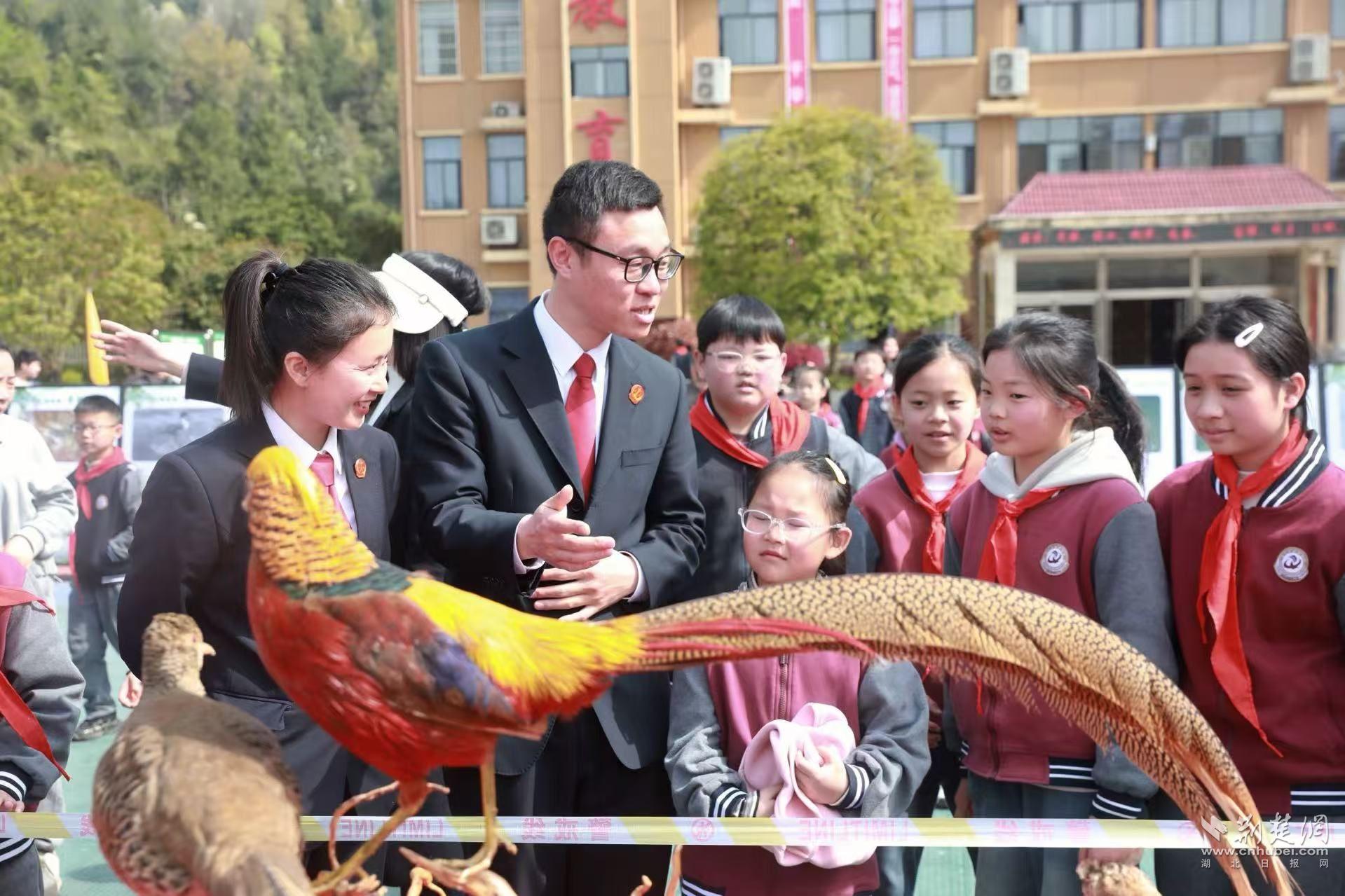 法官向學生科普珍稀鳥類.jpg.jpg