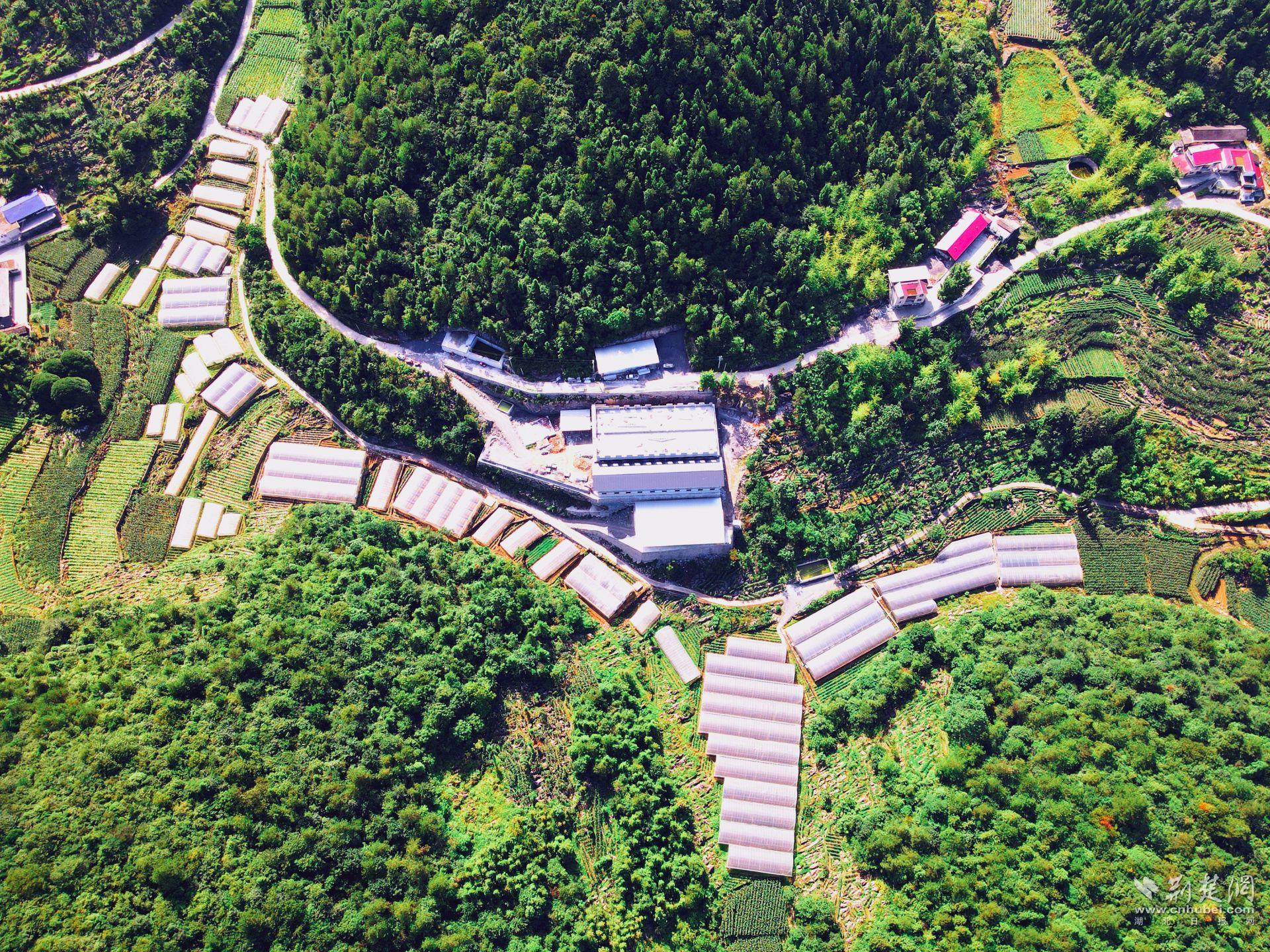微信圖片_20250508111711.jpg.jpg