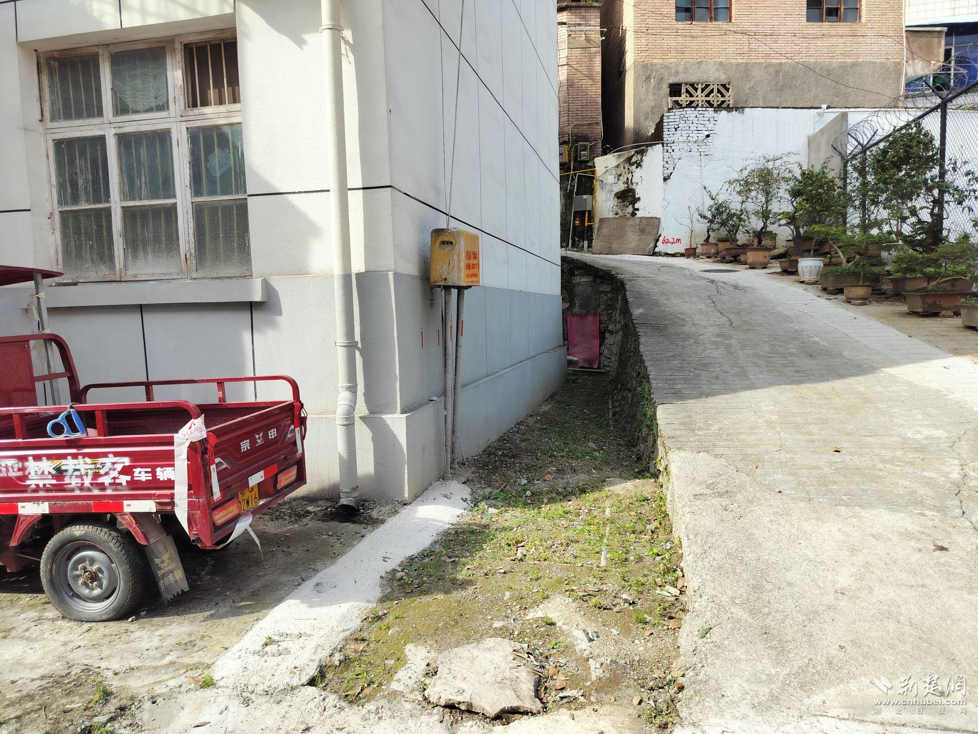 雜草清理后.jpg.jpg