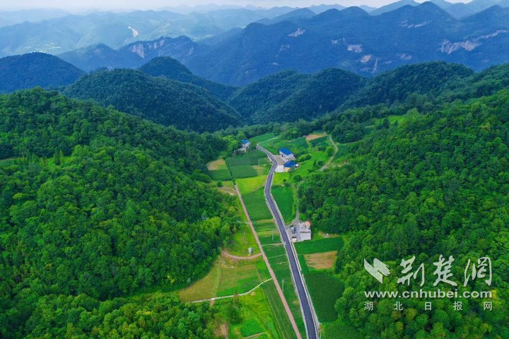 高山蔬果百草園全景1.png.png
