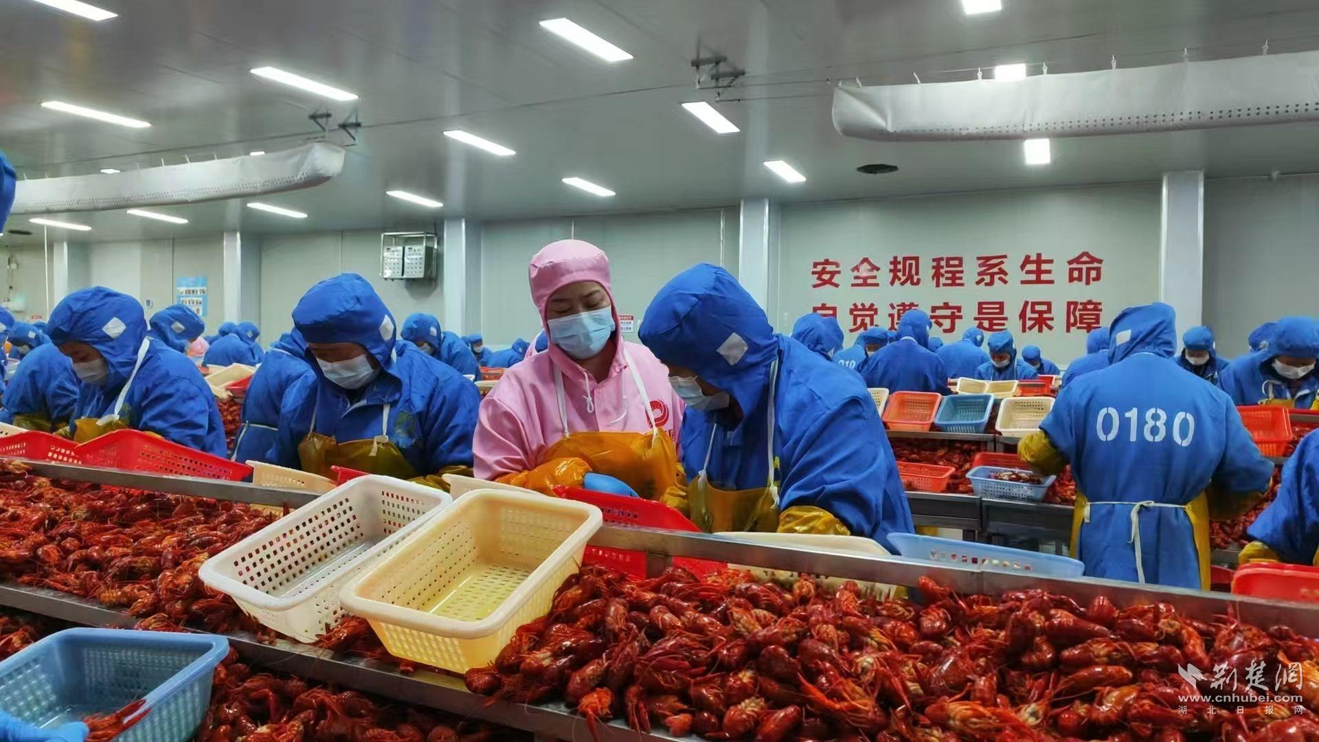 湖北綠億園食品科技有限公司 剝蝦現(xiàn)場(chǎng)照.jpg.jpg