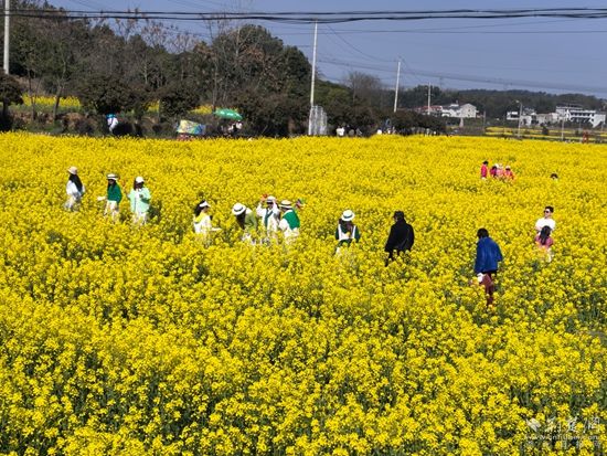 花樣經(jīng)濟 咸安2.jpg.jpg